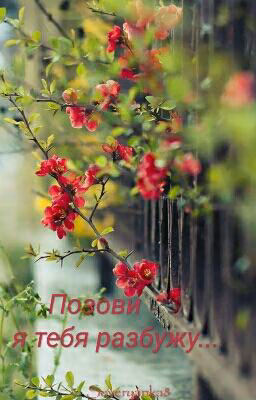 Позови - я тебя разбужу...