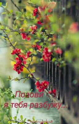 Позови - я тебя разбужу...