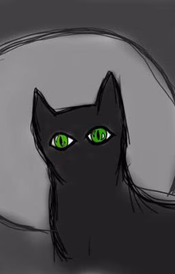 Кот-Ночь.