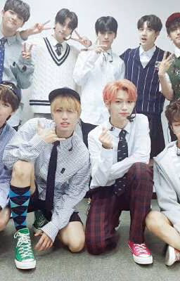🌸STRAY KIDS🌸