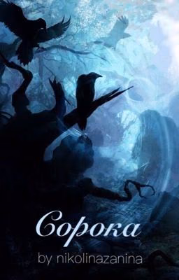 Сорока