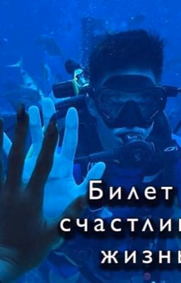 Билет в счастливую жизнь
