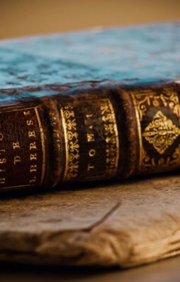 Дневник Хотару