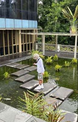 война наших сердец