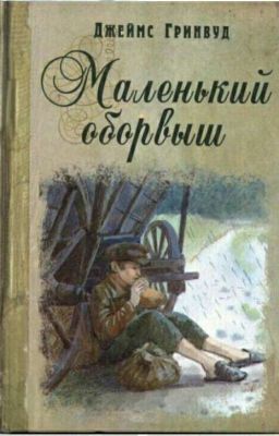 Джеймс Гринвуд. Маленький оборвыш