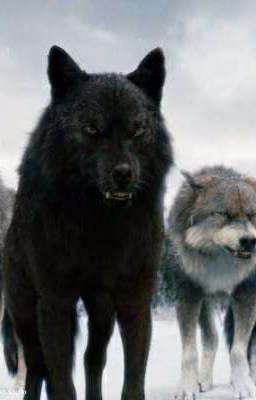"  Wolf essence "  ( закончен )