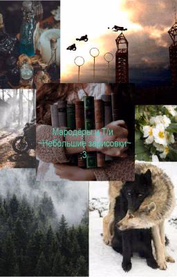 Мародёры и Т/и. Небольшие зарисовки~