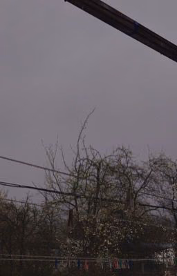 человеческая жизнь