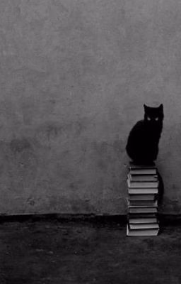 Немного о котах и жабах