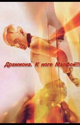 Драмиона. К ноге Малфой!!!