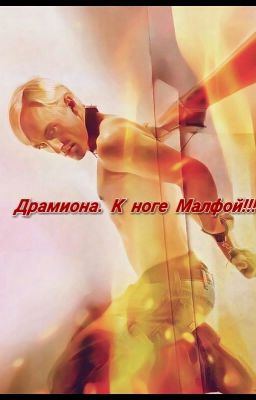 Драмиона. К ноге Малфой!!!