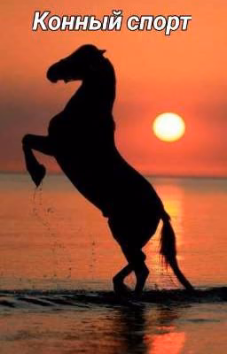 конный спорт 🐎❤️