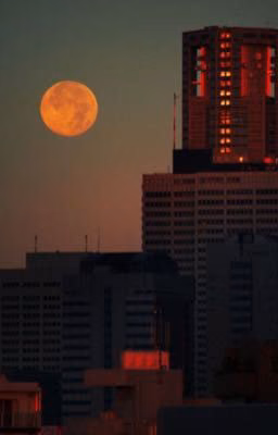 Стихи ночного города