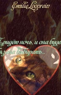 Коты-Воители: «Придёт ночь, и она будет обязана выбрать...» [ТАЕТ]