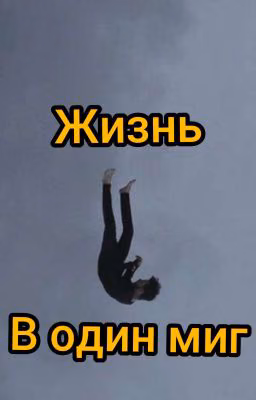 Жизнь в один миг