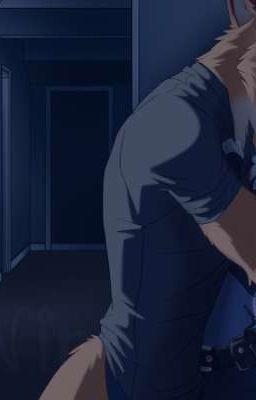 Джуди Уайлд 