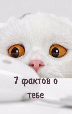 7 фактов о тебе