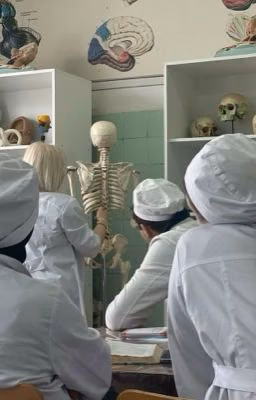 А мы, не мы.