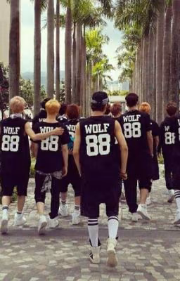 Wolf 88  #Frut18