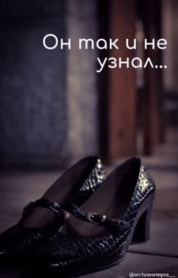 Он так и не узнал...
