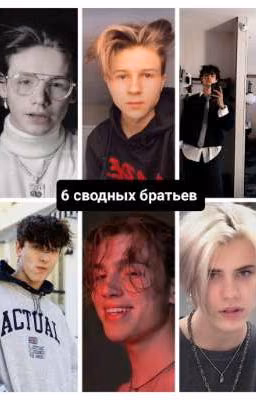 6 сводных братьев