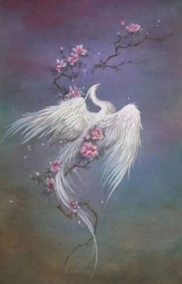 После того, как меня бросили