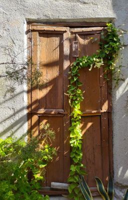 Вампиры. Вечная романтика