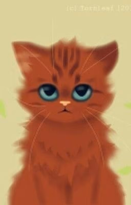 Коты-Воители: Новый Избранник