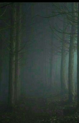 Запутанная история.(ВРЕМЕННО ЗАМОРОЖЕНА)