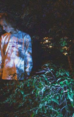 //PHARAOH//