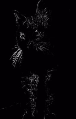 Коты и кошки.
