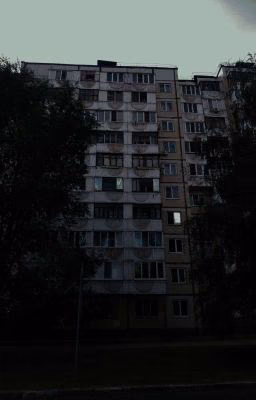 Домбай-303