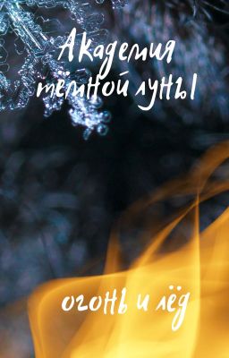 Академия Тёмной Луны. Огонь и лёд.