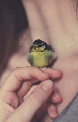 О самом главном