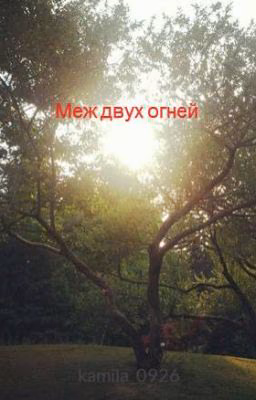 Меж двух огней