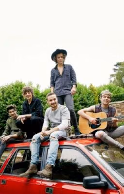 Удочеренная One Direction.