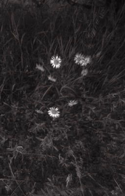 poems of a worthless poet
