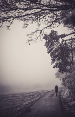 В прежний омут взгляд бросаю