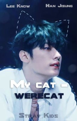 Мой кот - оборотень