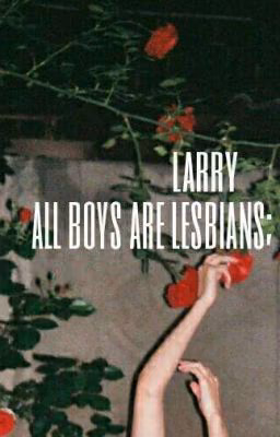 all boys are lesbians [larry]