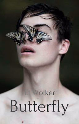 Вutterfly
