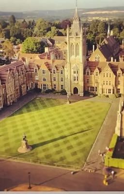 Академия Вампиров 