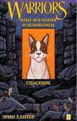 Коты-Воители. Небесное племя и незнакомец. Книга 1. Спасение
