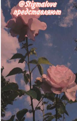 ♤[обложки]♡[оформы]♡[Aesthetics]♧