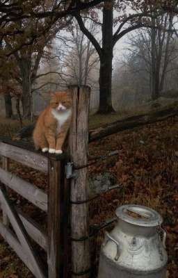 5 глупых рассказов о людях