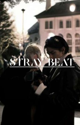 Stray Beat (хёнликсы)