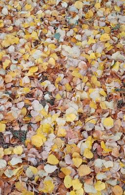 We fell in love in october