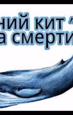Синий кит