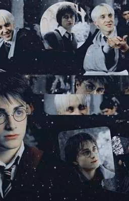 Новая жизнь Drarry♡
