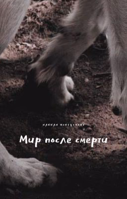 Мир после смерти #Wattys2015